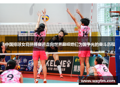 中国排球女将拼搏奋进走向世界巅峰她们为国争光的奋斗历程