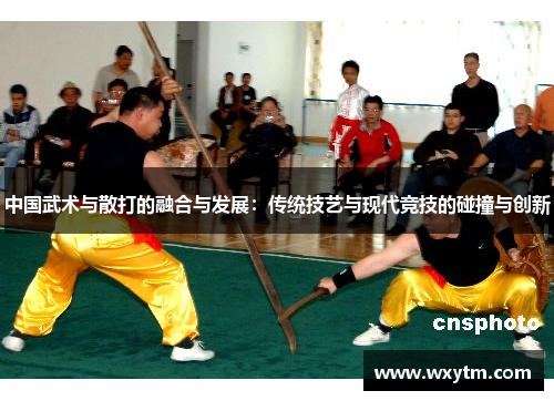 中国武术与散打的融合与发展：传统技艺与现代竞技的碰撞与创新