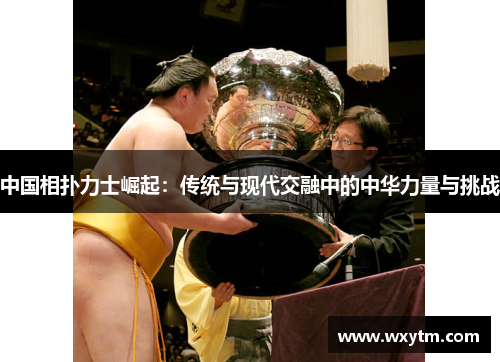 中国相扑力士崛起：传统与现代交融中的中华力量与挑战