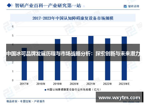 中国冰可品牌发展历程与市场战略分析：探索创新与未来潜力
