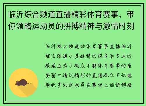 临沂综合频道直播精彩体育赛事，带你领略运动员的拼搏精神与激情时刻