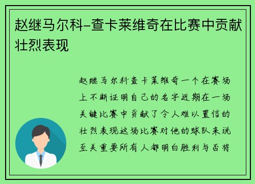 赵继马尔科-查卡莱维奇在比赛中贡献壮烈表现