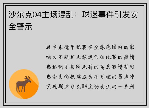 沙尔克04主场混乱：球迷事件引发安全警示